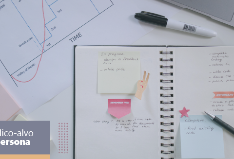 Publico alvo e Persona